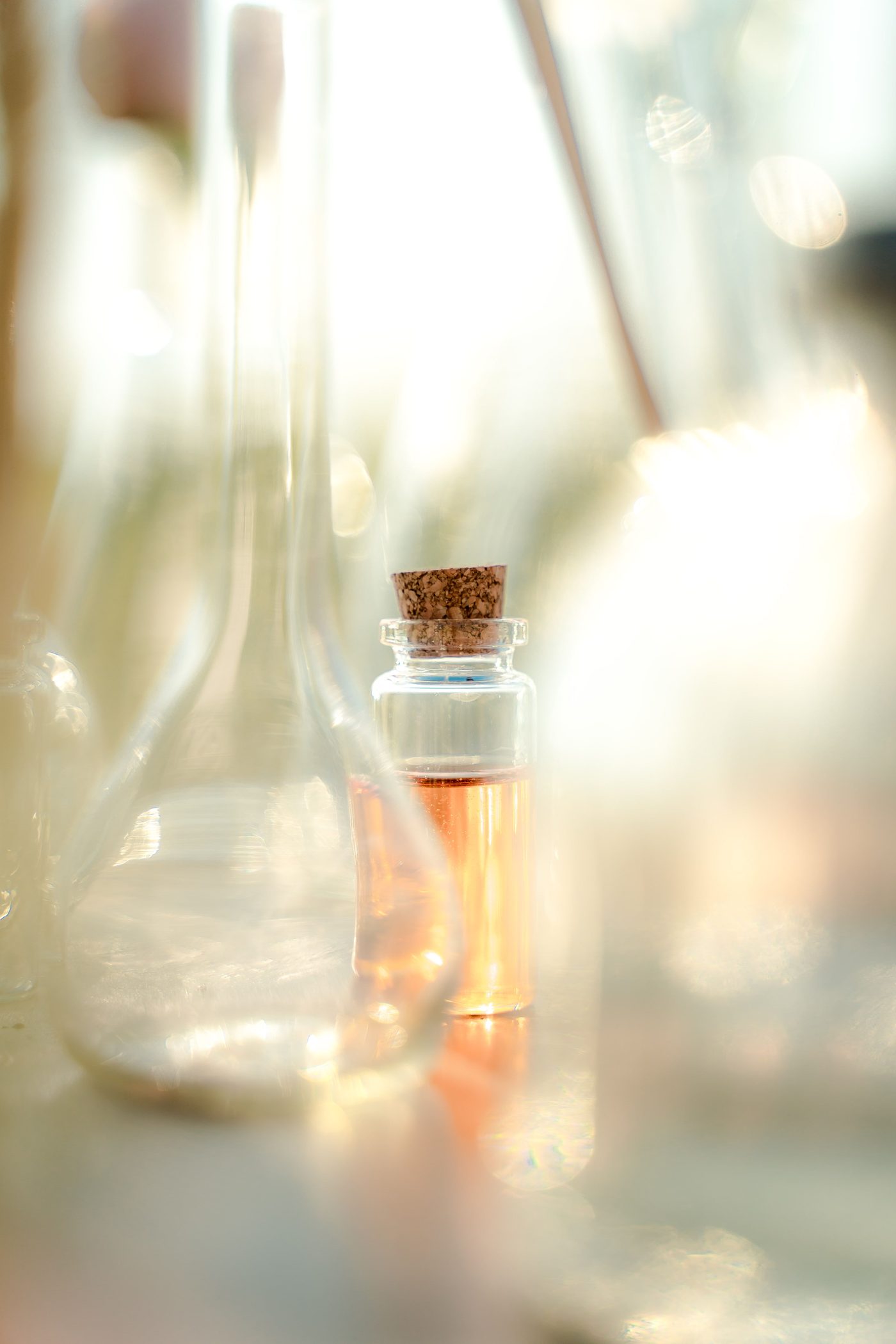 12 affordable perfumes that smell expensive